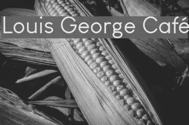 Louis George Café Example 3