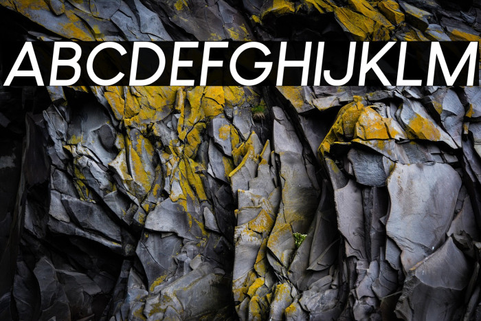 Louis George Cafe Bold Italic Example 1