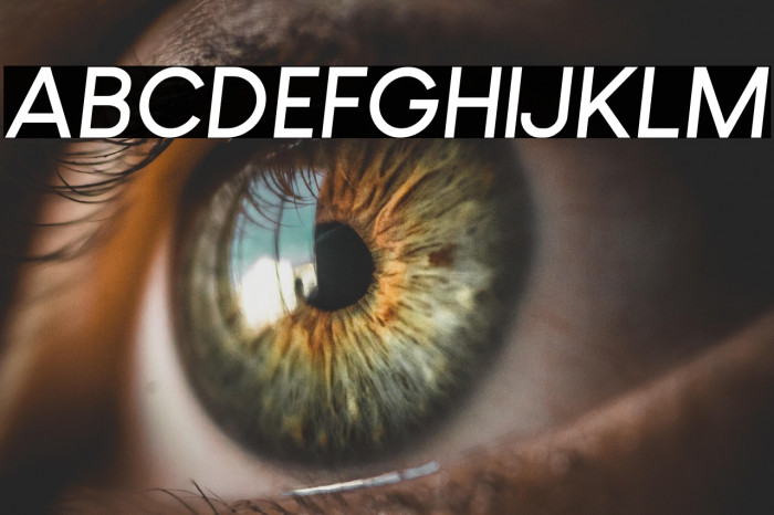 Louis George Cafe Bold Italic Example 2