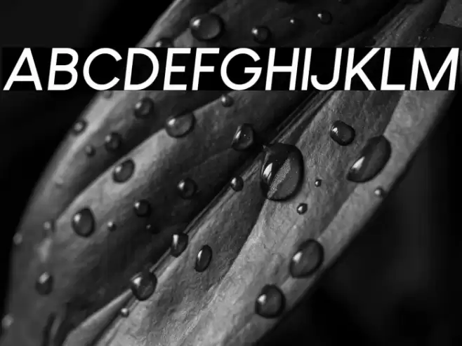 Louis George Cafe Bold Italic Font examples