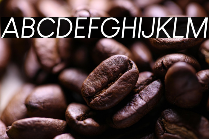 Louis George Cafe Italic Example 1