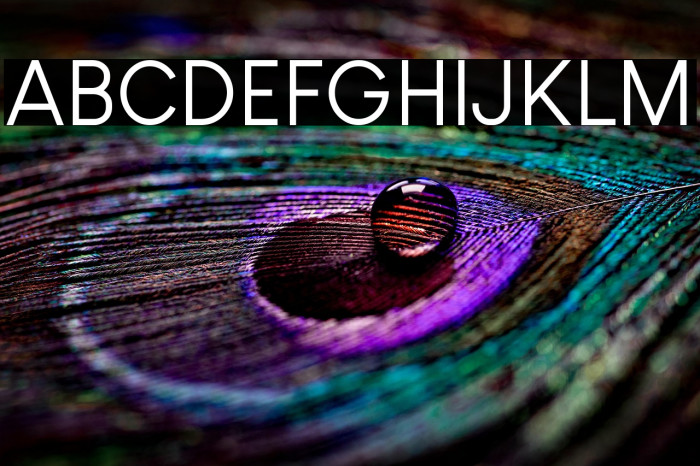 Louis George Cafe Example 3