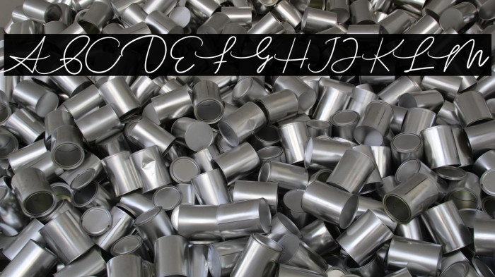 Louis Robert Example 2