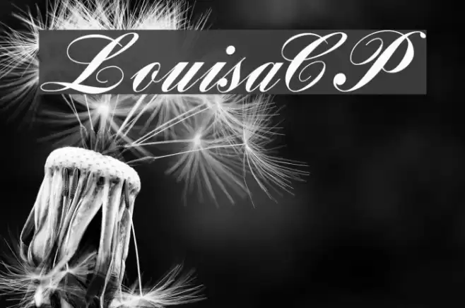 LouisaCP Font examples