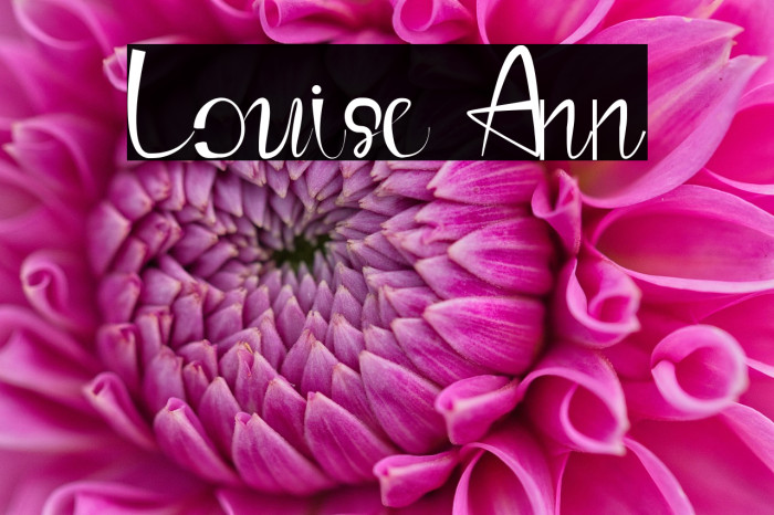 Louise Ann Example 2