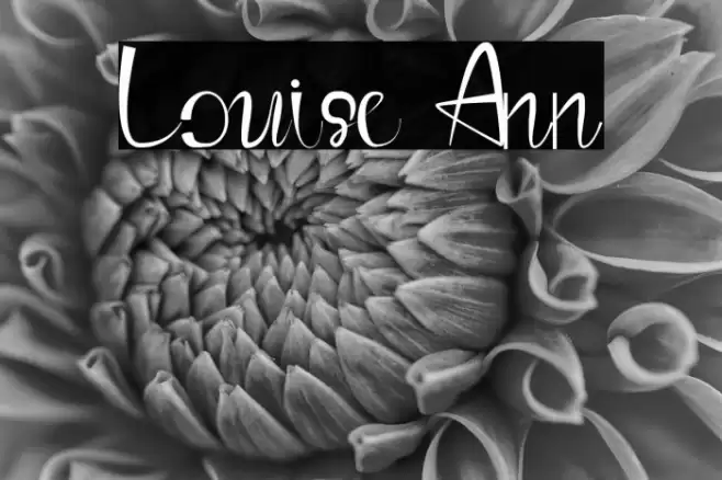 Louise Ann Font examples