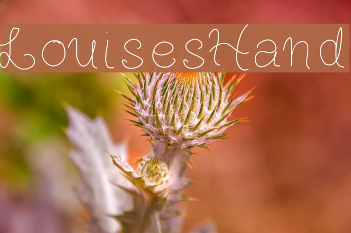 LouisesHand Example 2