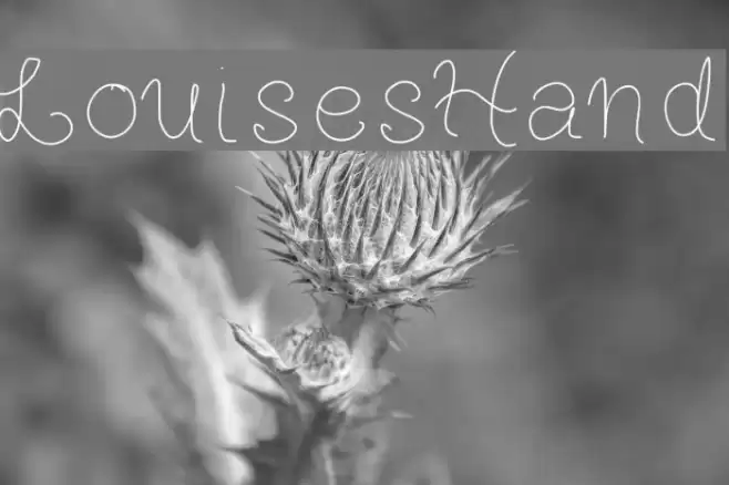 LouisesHand Font examples