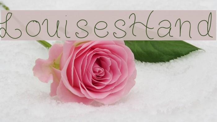 LouisesHand Example 3