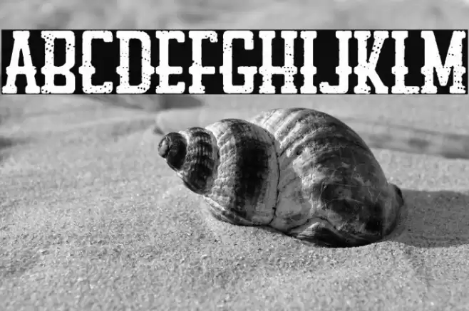 Louisiana Biker Shop Font examples