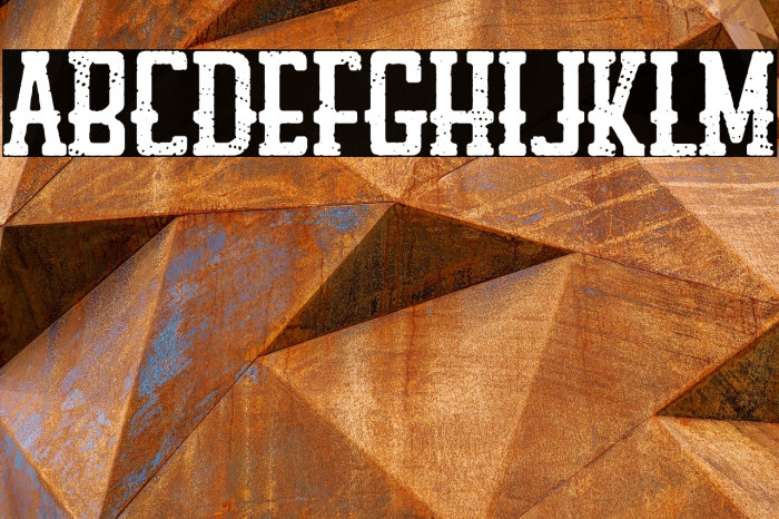 Louisiana Biker Shop Example 2