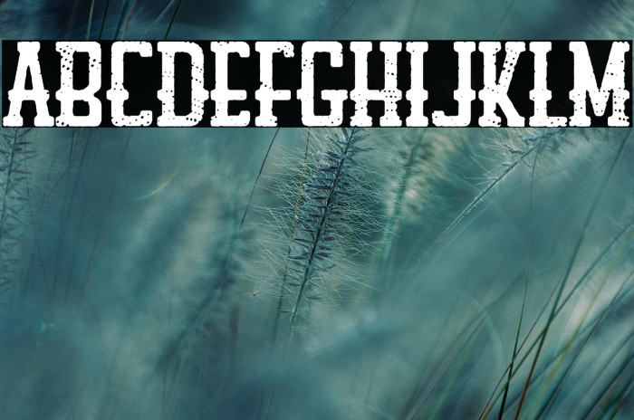 Louisiana Biker Shop Example 3