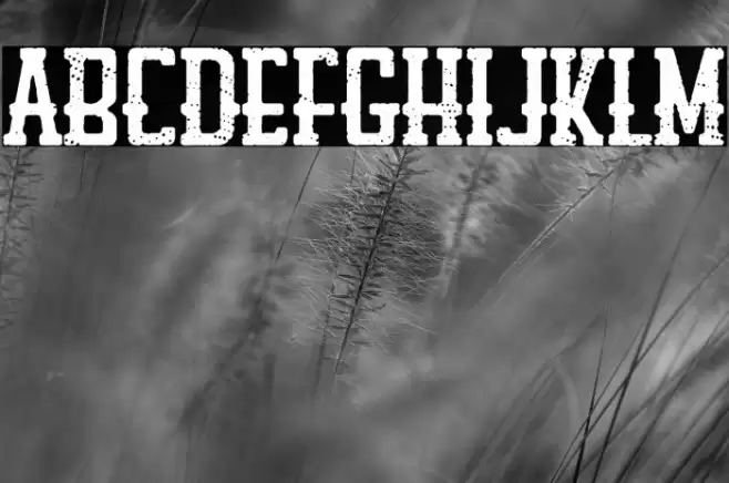 Louisiana Biker Shop Font examples