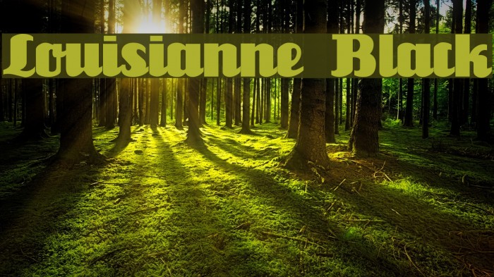 Louisianne Black Font examples