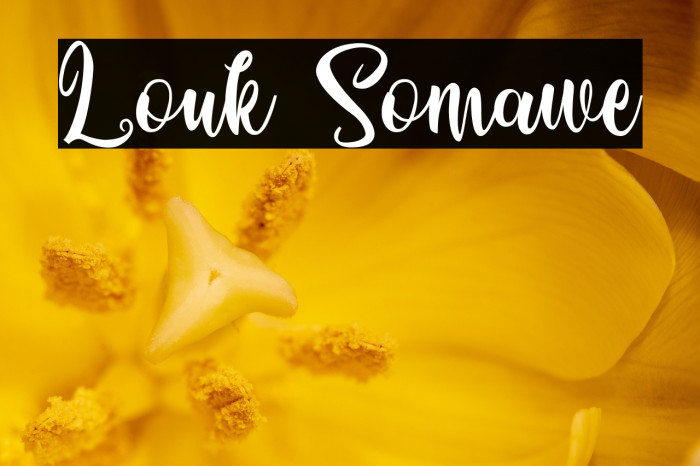 Louk Somawe Example 3