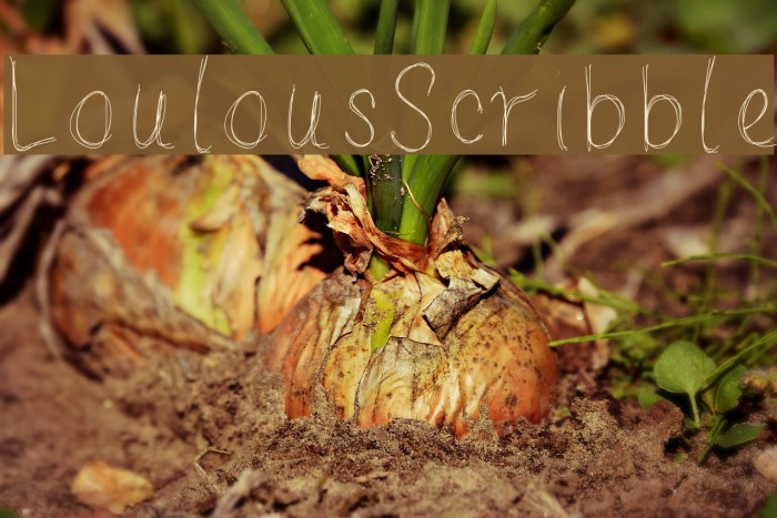 LoulousScribble Font examples