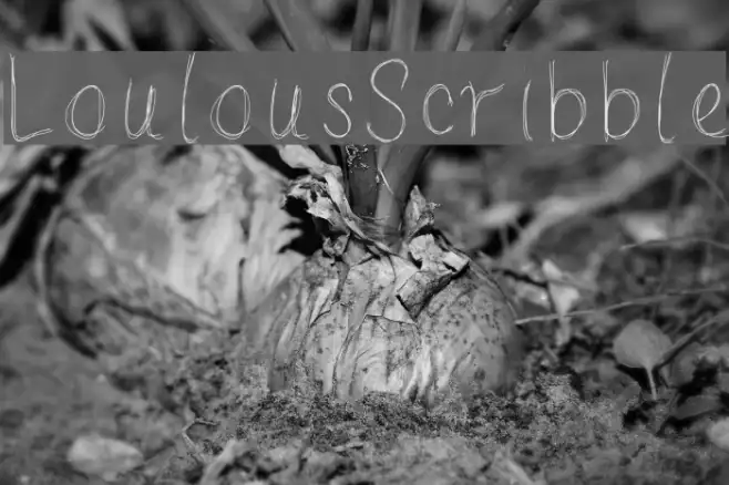 LoulousScribble Example 2