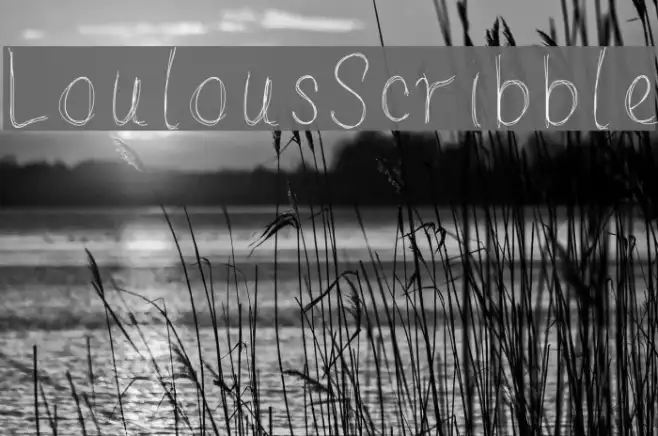 LoulousScribble Example 3