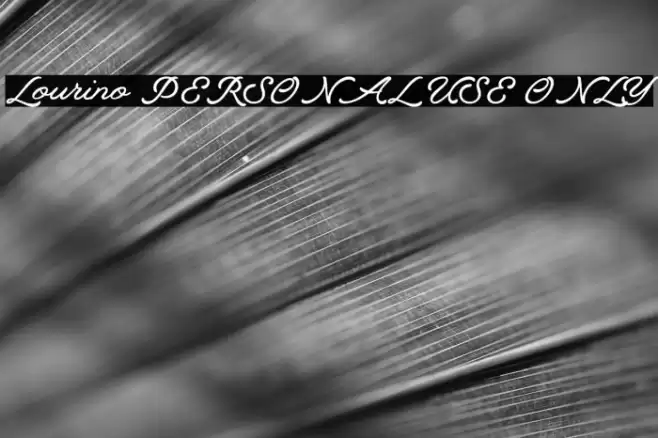 Lourino PERSONAL USE ONLY Font examples