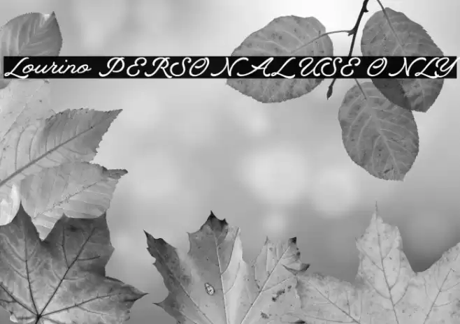 Lourino PERSONAL USE ONLY Font examples