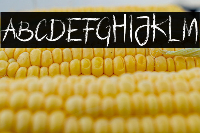 LousianaBrush Example 3