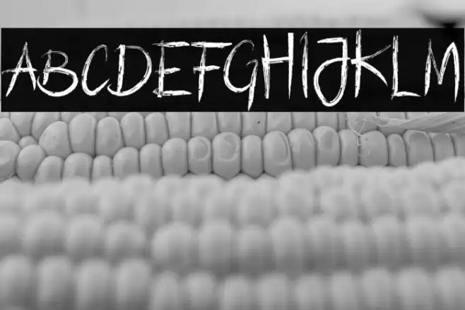 LousianaBrush Font examples