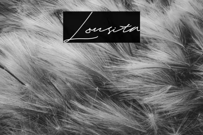 Lousita Fuentes examples