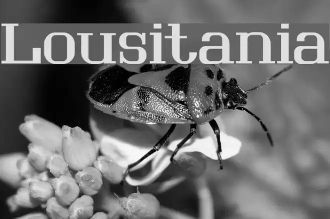 Lousitania Fuentes examples