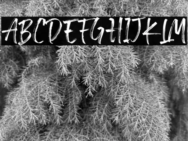 Loutters Font examples