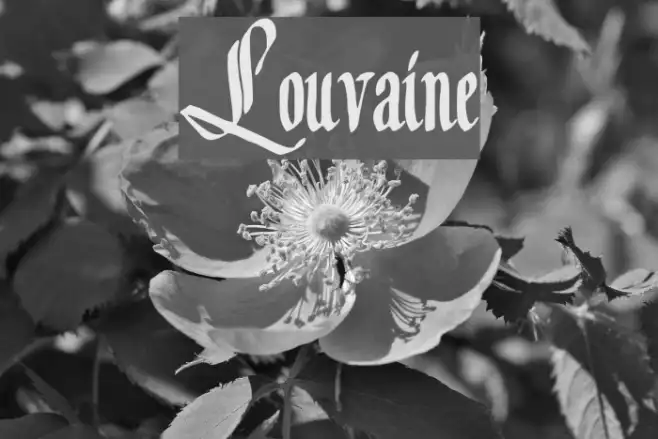 Louvaine Example 1