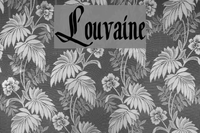 Louvaine Example 2