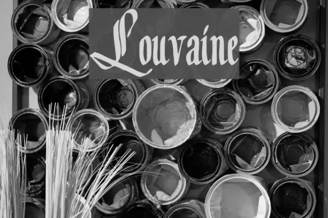 Louvaine Example 3