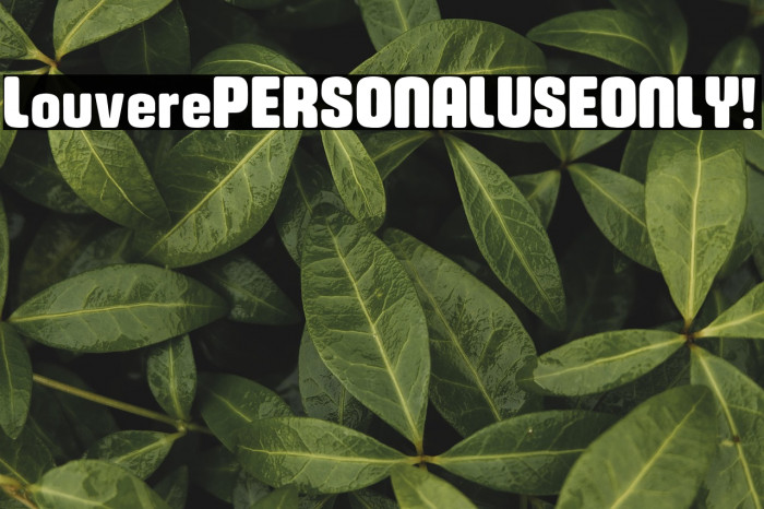 Louvere PERSONAL USE ONLY! Example 3