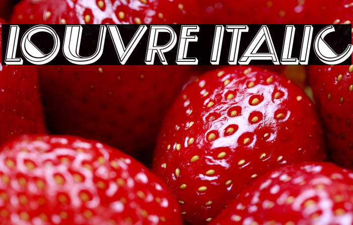 Louvre Italic Example 2