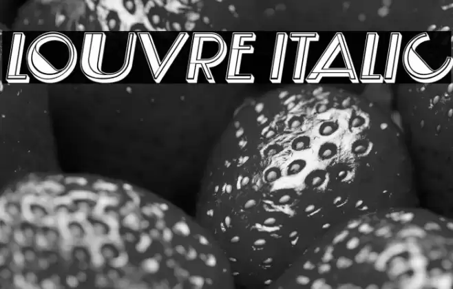 Louvre Italic Font examples