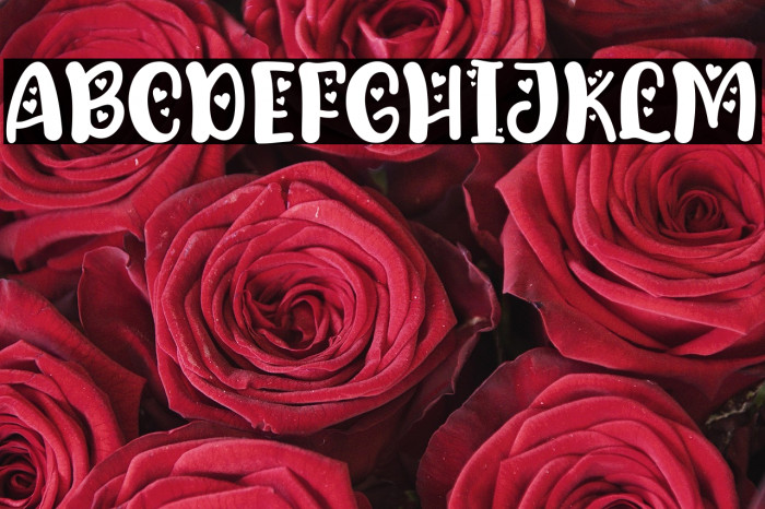 Lova Bear Two Example 2