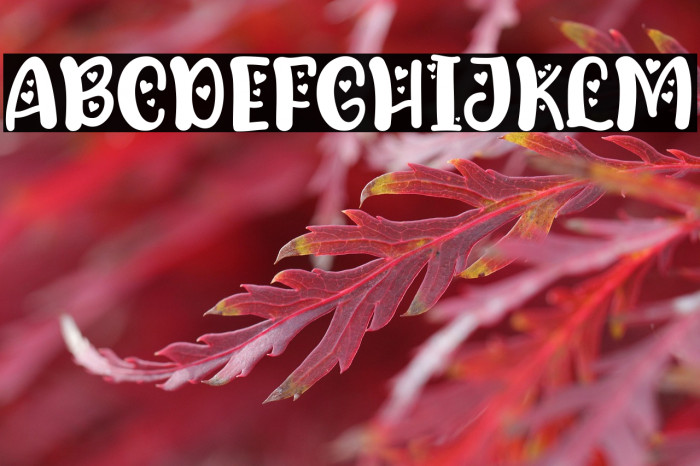 Lova Bear Two Example 3