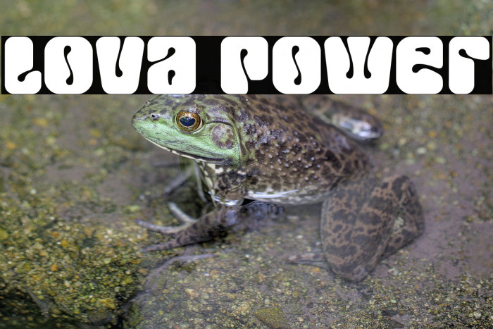 Lova Power Example 2