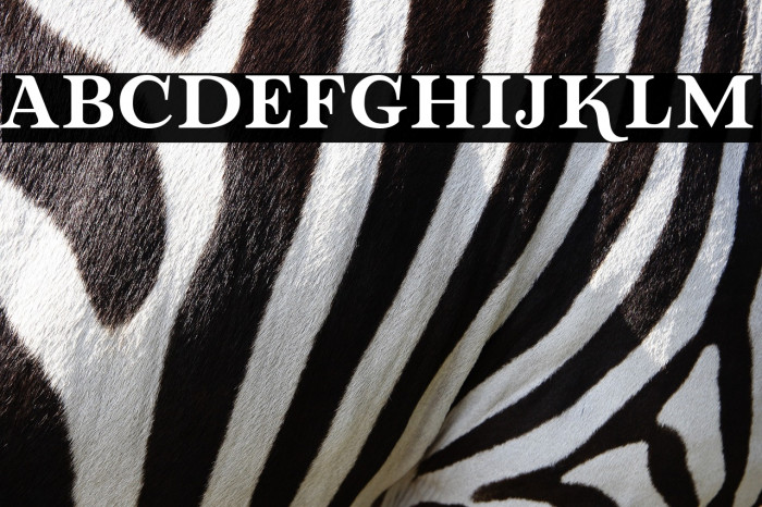 Lova Valove Serif Example 2