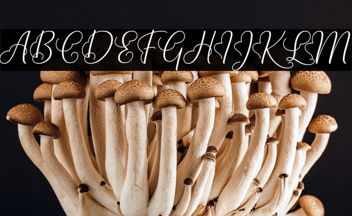 Lova Valove Example 1