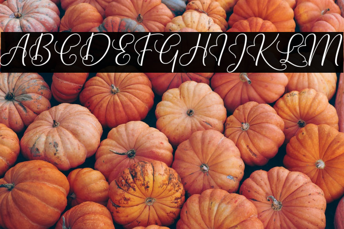 Lova Valove Example 2