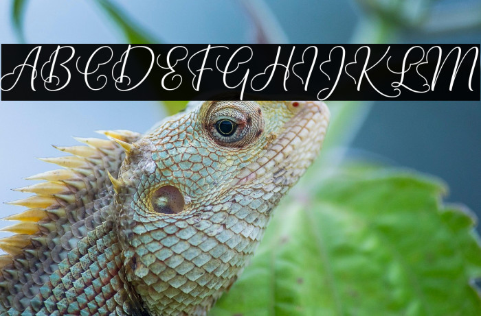 Lova Valove Example 3