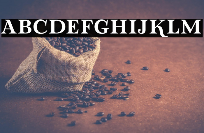 LovaValoveSerif Example 1