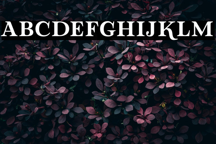 LovaValoveSerif Example 2