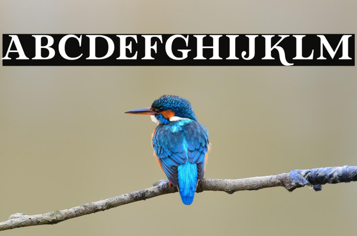 LovaValoveSerif Example 3