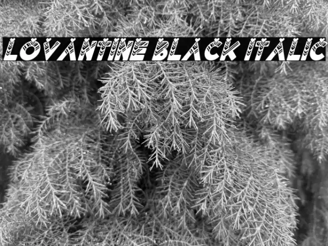 Lovantine Black italic Font examples