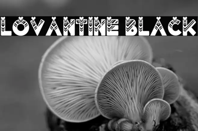Lovantine Black Example 2