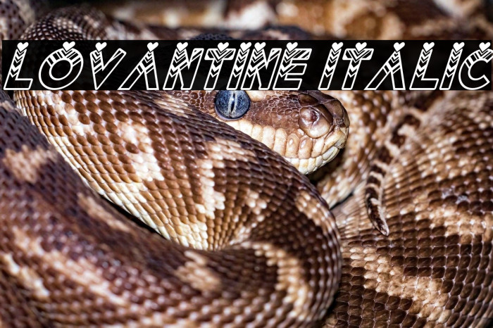 Lovantine italic Example 2