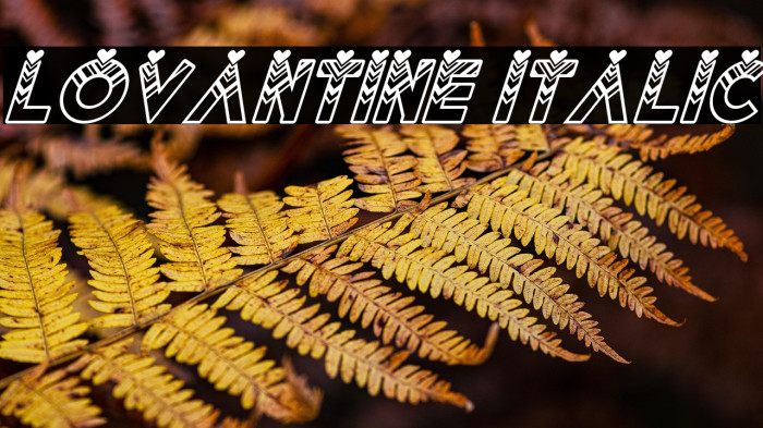 Lovantine italic Example 3
