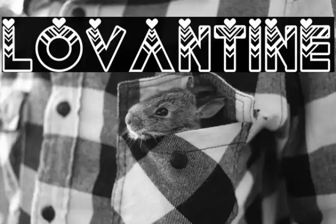 Lovantine Font examples